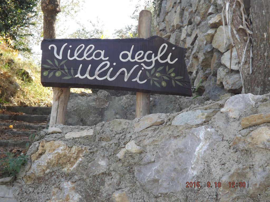 Appartamento Villa Degli Ulivi Sant'Agnello Pokoj fotografie
